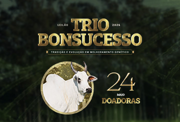 LEILÃO TRIO BONSUCESSO DOADORAS
